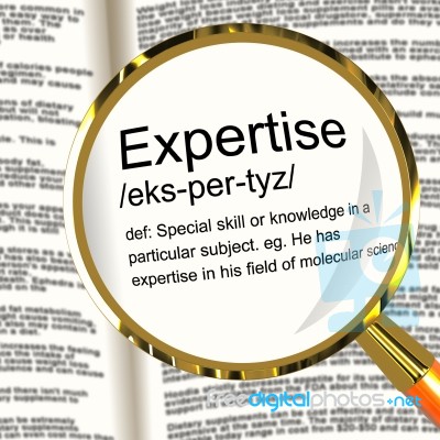 Expertise Definition Magnifier Stock Image