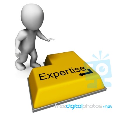 Expertise Key Shows Specialist Knowledge And Proficiency Stock Image