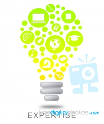 Expertise Lightbulb Indicates Proficient Skills And Experience Stock Image