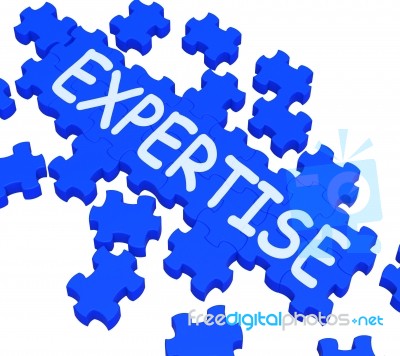 Expertise Puzzle Showing Excellent Skills Stock Image