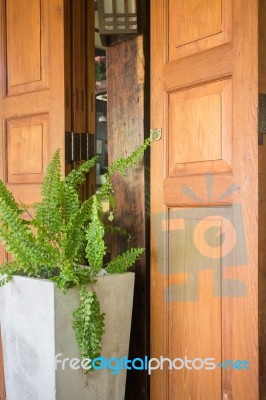 Exterior Wooden Door And Plant Pot Stock Photo