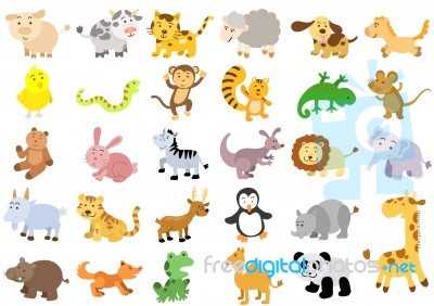 Extra Large Set Of Animals Stock Image