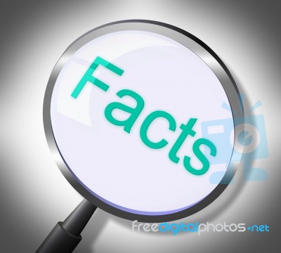 Facts Magnifier Represents Knowledge Searching And Info Stock Image