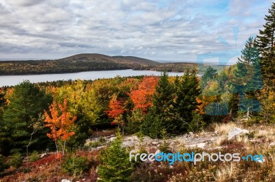 Fall Colors From Maine Stock Photo