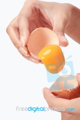 Falling Egg White Background Stock Photo