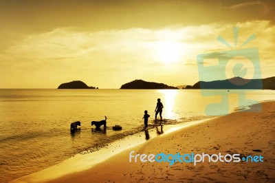 Family At Beach With Dog Stock Photo