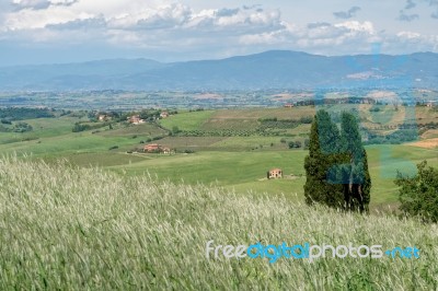 Farm In Val D'orcia Tuscany Stock Photo