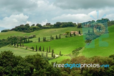 Farm In Val D'orcia Tuscany Stock Photo