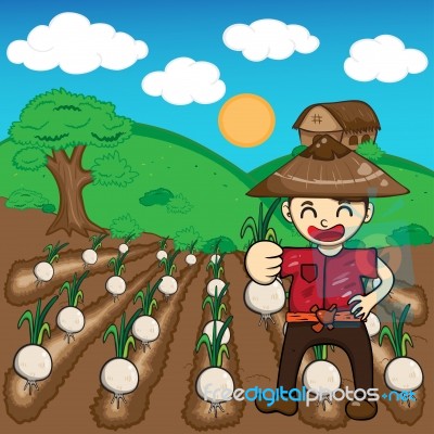 harvest