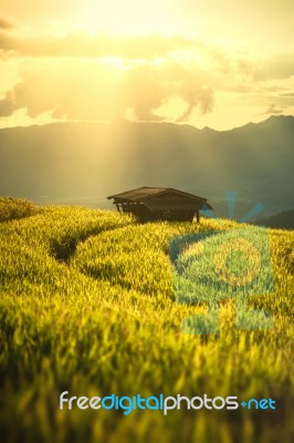 Farmhouse In Changmai North Of Thailand Stock Photo