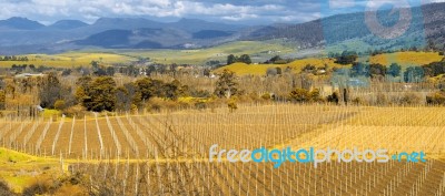 Farming Field In Tasmania, Australia Stock Photo