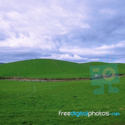 Farming Field In Tasmania, Australia Stock Photo