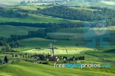 Farmland In Val D'orcia Tuscany Stock Photo