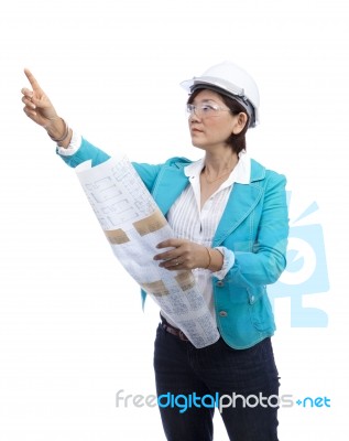 Female Architect Isolated On White Stock Photo