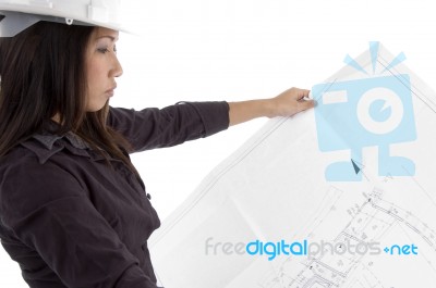 Female Architect Looking At Blueprints Stock Photo