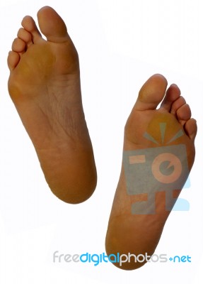 Female Feet Stock Photo