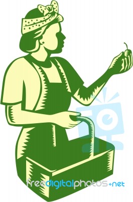 Female Fruit Picker Worker Basket Woodcut Stock Image