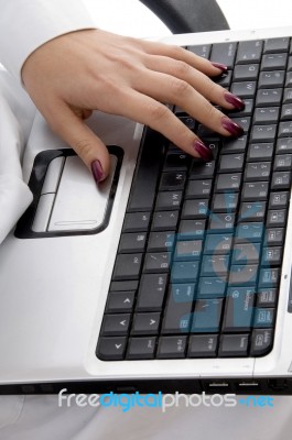 female Hand typing On Laptop Stock Photo