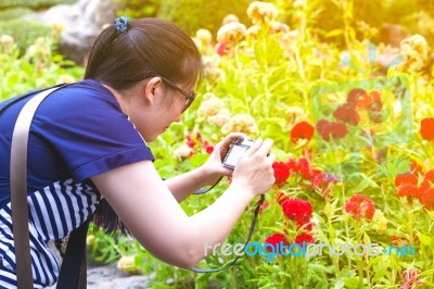 Female Photographer With Professional Digital Camera Stock Photo Female Photographer With Professional Digital Camera Stock Photo