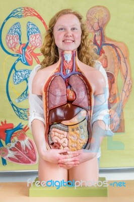 Female Student Embracing Model Of Human Body With Organs Stock Photo