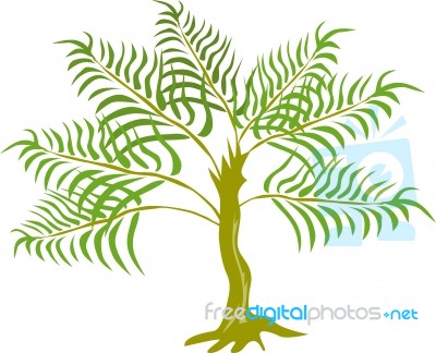 Fern Tree Stock Image