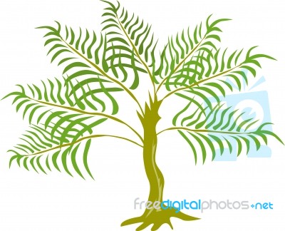 Fern Tree Stock Image