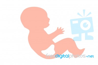 Fetal Growth In The Ninth Month Stock Image