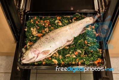 Filled Salmon Trout Stock Photo