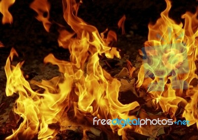 Fire Stock Photo