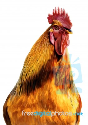 Fire Cock In Full Length Stock Image