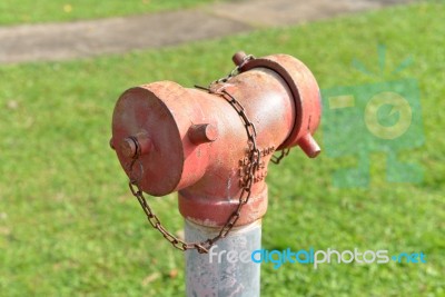 Fire Hose Stock Photo