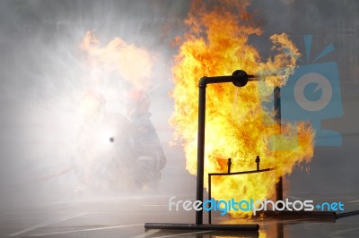 Fireman. Firefighters Fighting Fire During Training Stock Photo