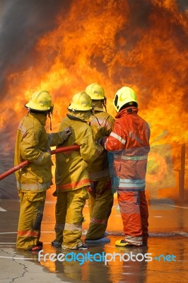 Fireman. Firefighters Fighting Fire During Training Stock Photo