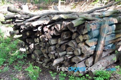 Firewood Stack 1 Stock Photo