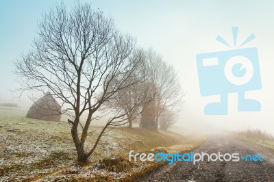 First Autumn Snow On Mountain Misty Road Stock Photo