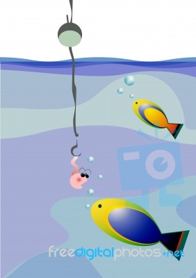 Fish Stock Image