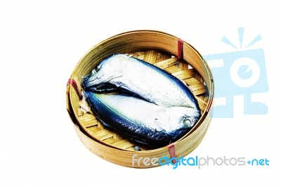 Fish On A White Background Stock Photo