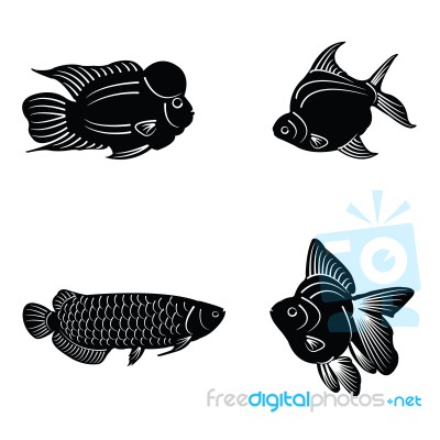 Fish Silhouette Stock Image