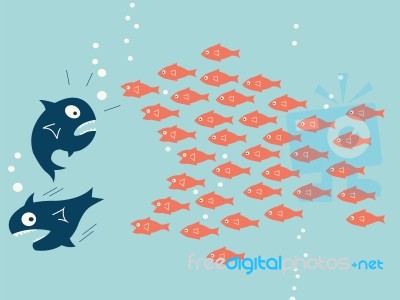 Fish Teamwork Stock Image