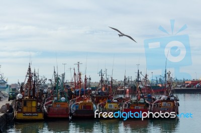 Fishing Boats Moored In The Port Stock Photo