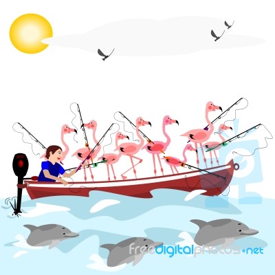 Fishing Flamingos Stock Image