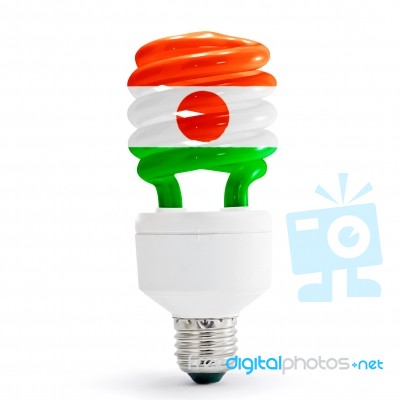 Flag Of Niger On Bulb Stock Photo