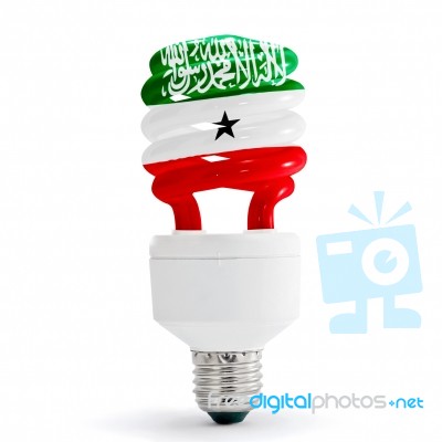 Flag Of Somaliland On Bulb Stock Photo