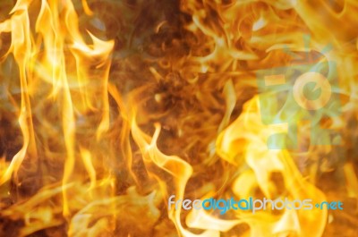 Flames Stock Image
