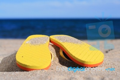 Flip-flops Stock Photo