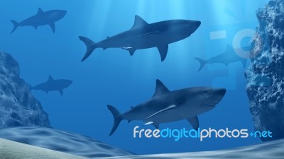 Flock Of Sharks Underwater With Sun Rays And Stones In Deep Blue Sea Stock Image