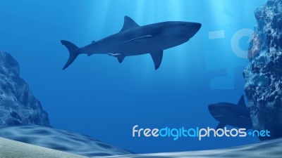 Flock Of Sharks Underwater With Sun Rays And Stones In Deep Blue Sea Stock Image