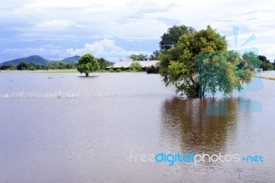 Flooded Farm Stock Photo