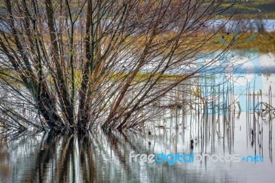 Flooded Land Near Ely Stock Photo