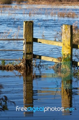 Flooded Land Near Ely Stock Photo